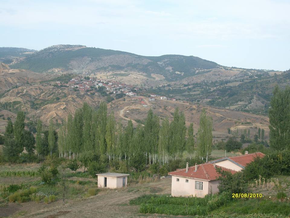 Turgay Asmalıkaya 26 Agustos 2010 3